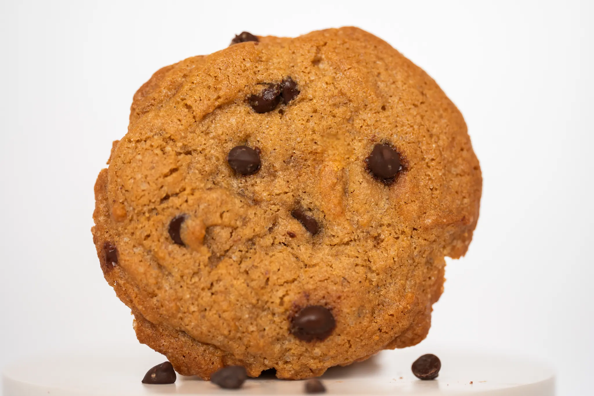 Chocolate chip cookie made from Genell Asil Chocolate Chip Cookie Mix